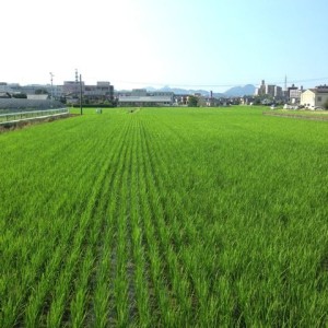 脱・都会依存。日本中自分の庭!移住を楽しもう。