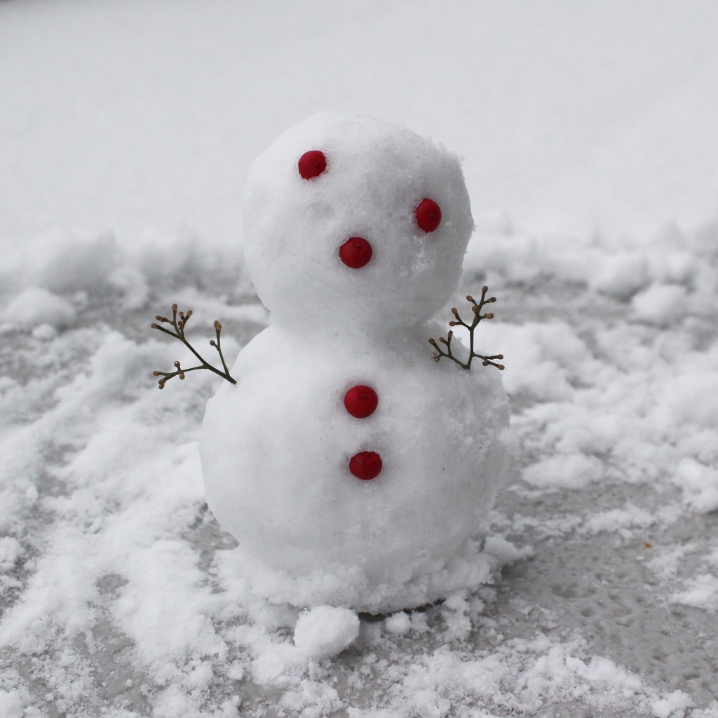 妻が作った雪だるまが可愛かったので、世界中の可愛い雪だるま写真を集めてみた。