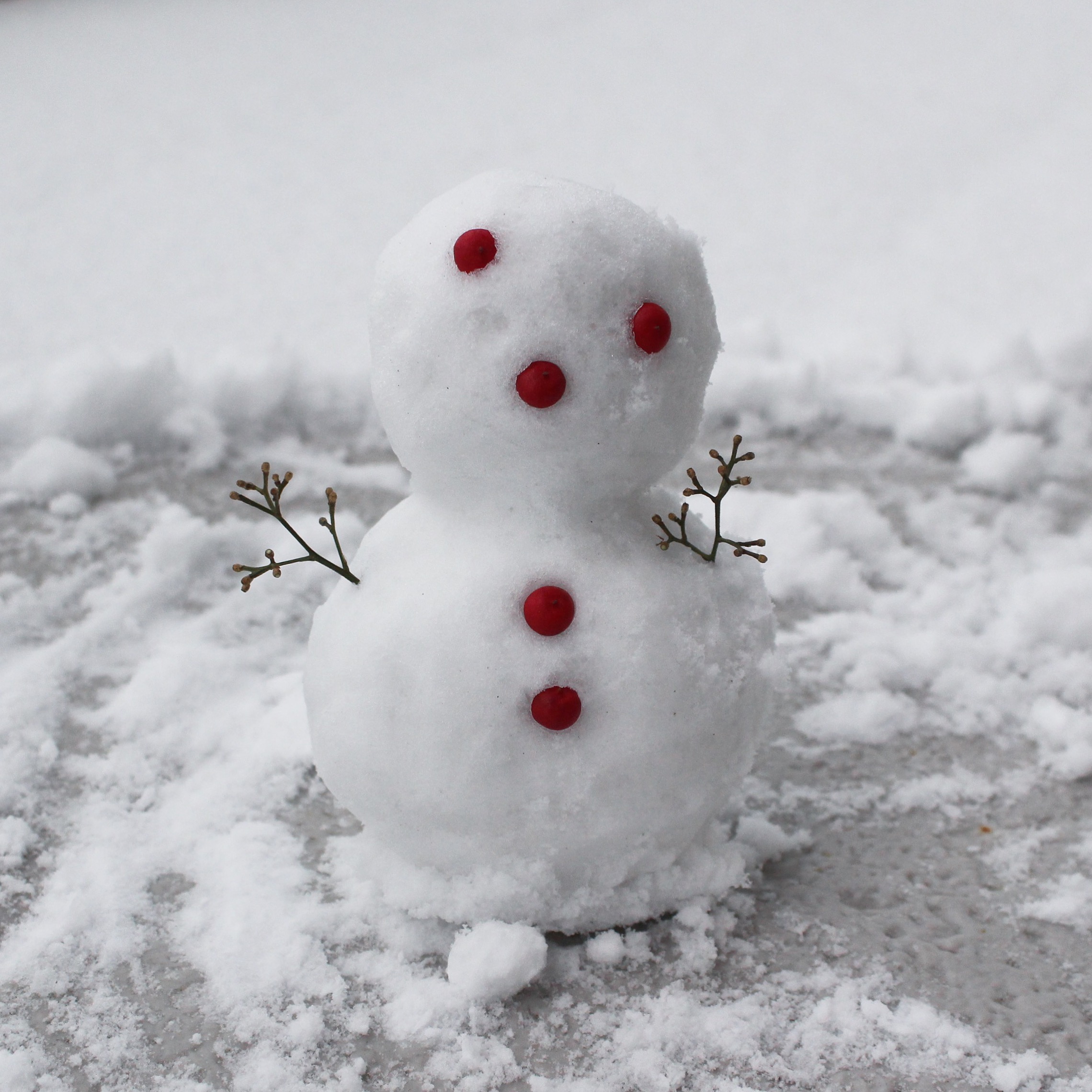 妻が作った雪だるまが可愛かったので 世界中の可愛い雪だるま写真を集めてみた 福田基広のデュアルライフ